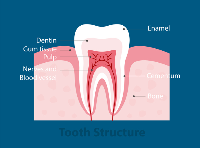 tooth-enamel